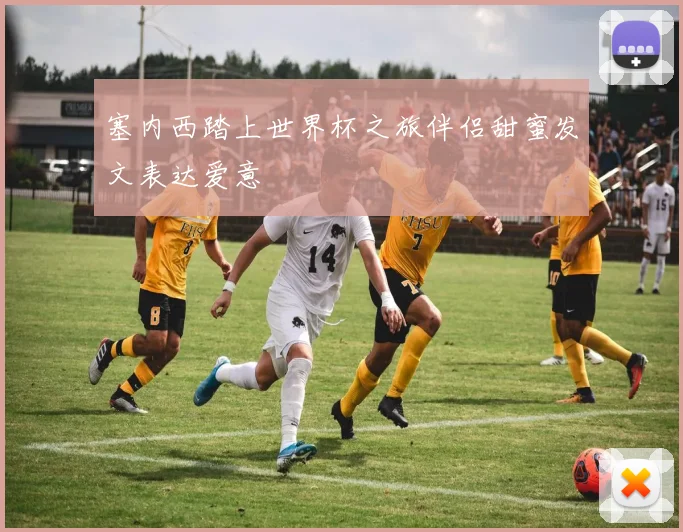 塞内西踏上世界杯之旅伴侣甜蜜发文表达爱意